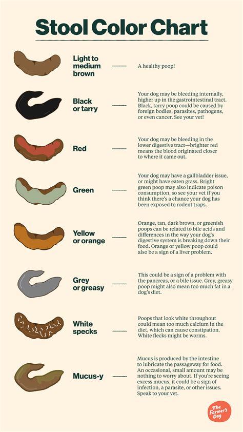 Stool Color Chart What Different Poop Colors Mean 25 Doctors Poop