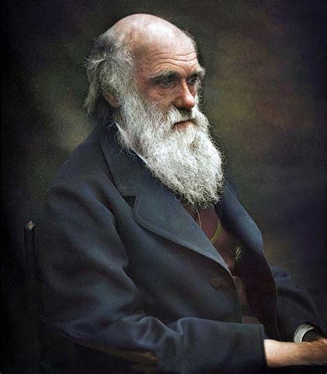 Charles Darwin Ca 1874