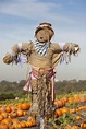 Home - Countryside | Make a scarecrow, Scarecrow festival, Scarecrow