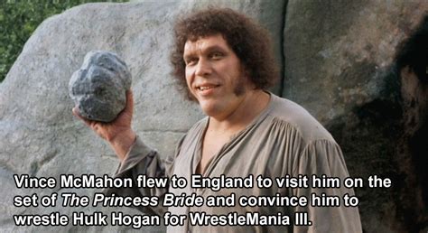 26 Andre The Giant Facts Youll Hardly Believe Are True