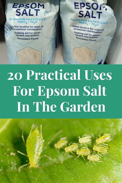 Epsom Salt For Plants Epsom Salt Garden Epsom Salt Uses Epsom Salt