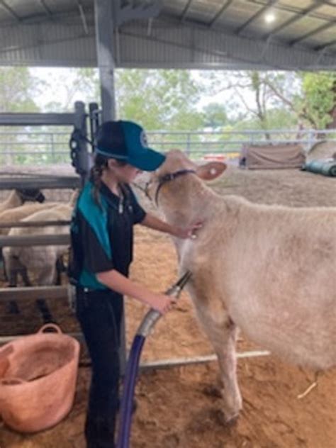 2022 Chhs Cattle Team At Wingham Show Camden Haven High School