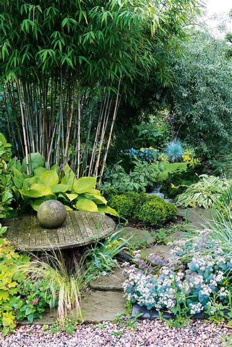 A Small Stone Slab Path Though A Border With A Large Bamboo