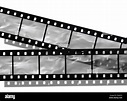 Blank film strip Stock Photo - Alamy