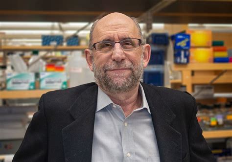 Molecular Biologist Michael Green Dies At 69 The Scientist Magazine