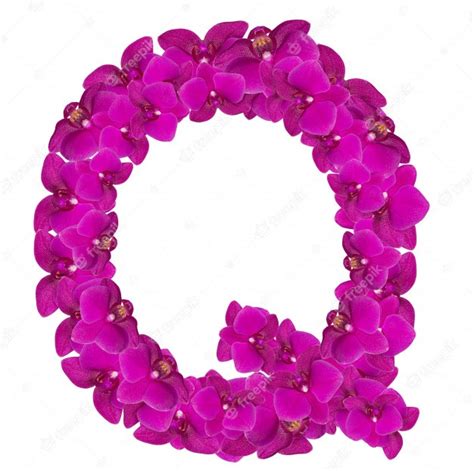 Premium Photo Letter Q Made Of Pink Flower Petals
