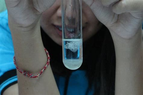3 Experimentos Fáciles Para Aprender Sobre Biotecnología