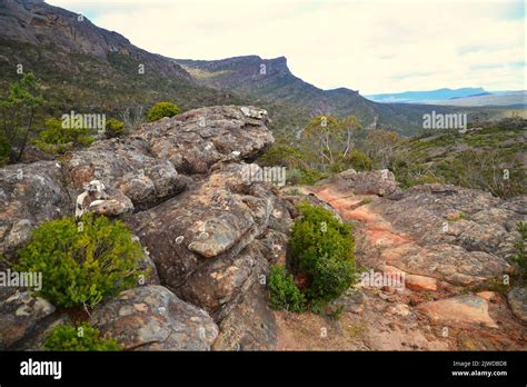 Briggs Bluff Hike Trail The Grampians National Park Victoria