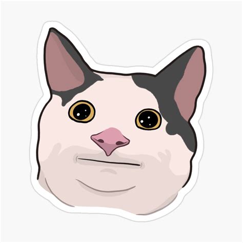 Polite Cat Meme Pin Ubicaciondepersonascdmxgobmx
