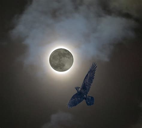 Raven Moon Photograph By Richard Griffis Fine Art America