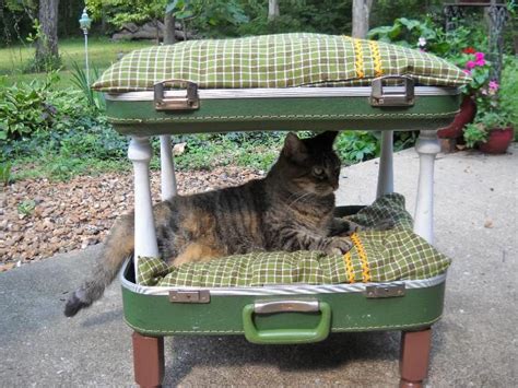 Double Decker Cat Bed Double Decker Suitcase Cat Bed By Notjustknots