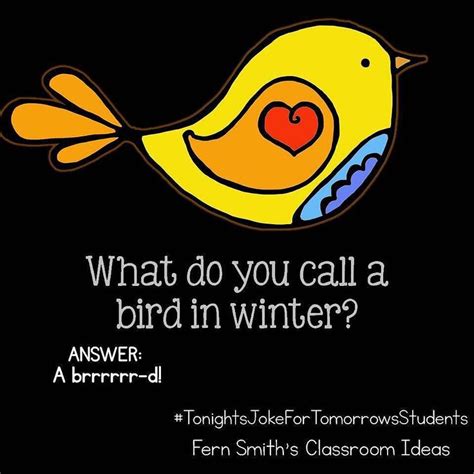 Tonights Joke For Tomorrows Students What Do You Call A Bird In