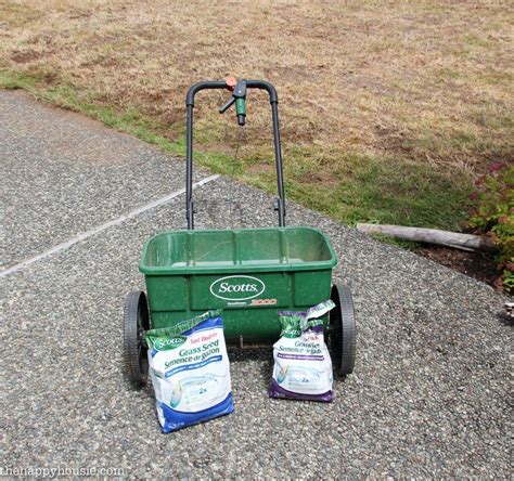 You can rake the bare spots before sprinkling grass seed to improve the germination rate. How to Prepare and Overseed Your Lawn | Lawn repair, Scotts lawn, Lawn