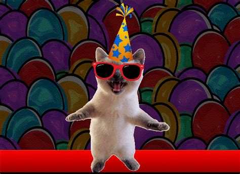 Funny Cat Colorful Thank You Free Birthday Thank You Ecards 123