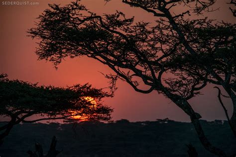 Sunset Tanzania Betty Sederquist Photography