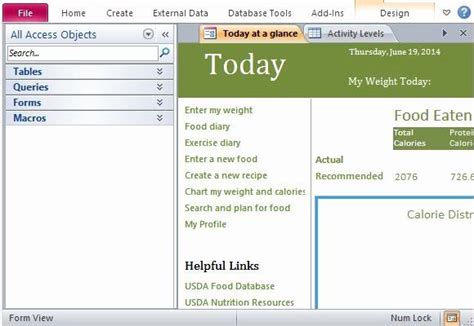 Microsoft Access Form Template Inspirational Desktop Nutrition Tracking