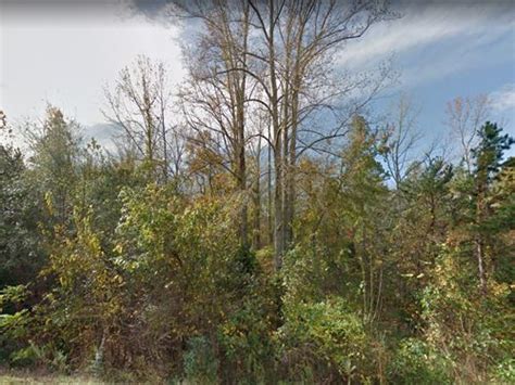 South Carolina Land For Sale By Owner Fsbo Landflip