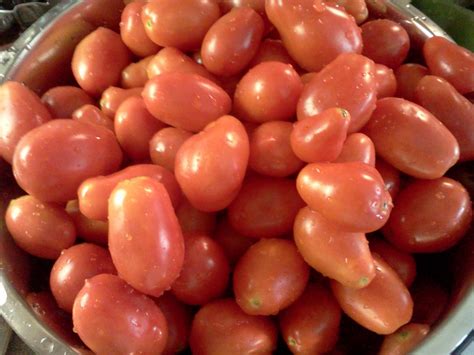 Pin by John-Manuel Andriote on Farmer John's Green Thumb | John green