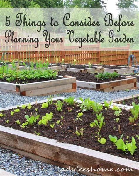 What To Consider Before Planning A Vegetable Garden Organic Vegetable