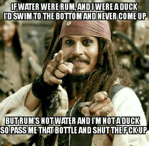 Pin By Ali Wishus On Drinking And Other Fun Jack Sparrow Funny Captain Jack Captain Jack