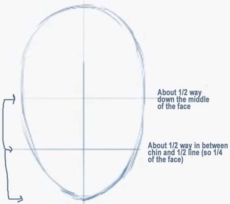 Take classes and get started with animation. How to Draw Female Faces in Correct Proportions with Easy Drawing Lesson - How to Draw Step by ...