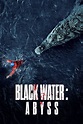 Black Water: Abyss (2020) - Posters — The Movie Database (TMDB)