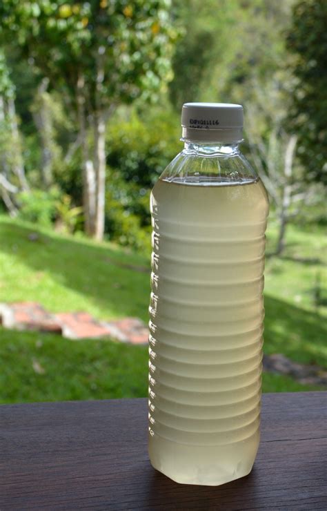 How To Make Your Very Own Rice Wine Expatgo