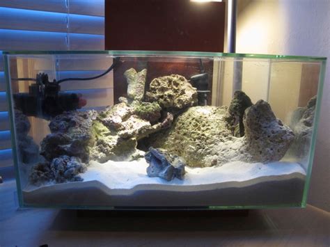 A Deep Sand Bed For Your Saltwater Aquarium Is One Of The Most