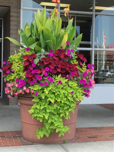 30 Best Front Door Flower Pots To Liven Up Your Home With Container