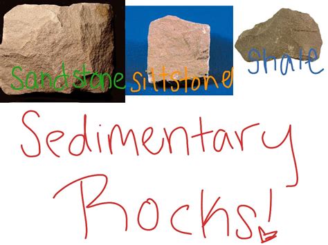 Sedimentary Rocks Science Earth Science Geology Showme