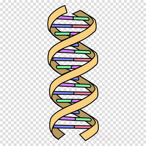 Dna Structure Clipart Clipart Transparent Background White Dna Images