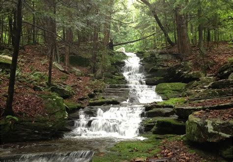 5 Airbnbs near peaceful waterfalls that you can rent for a late-winter