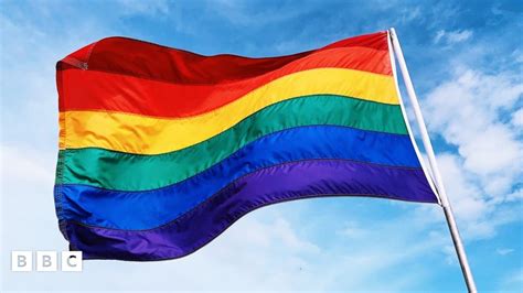 Estonia Votes To Legalise Same Sex Marriage Bbc Newsround