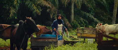 Martabat dirinya lebih rendah jika hendak dibandingkan dengan orang lain dalam satu atau hal yang lain. VIDEO Demi Zuriat, Wanita Kongsi Kisah Hilang Gigi ...