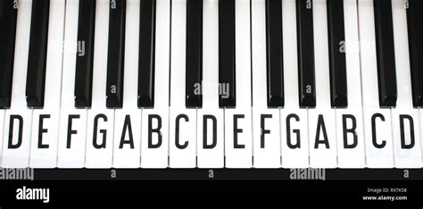 Top Down View Of Piano Keyboard Keys With Letters Of Notes Of The Scale