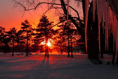 Sunset In Winter Forest The 10 Most Amazing And Beautiful Sunsets Ever