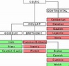 Celtic languages - Wikipedia