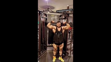 Saeed Hamzeh In The Gym Youtube