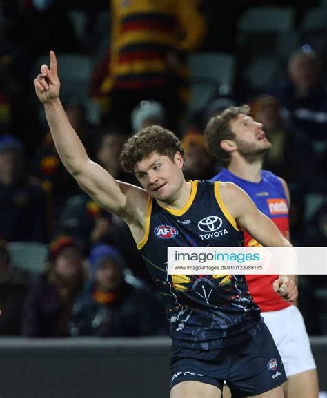 Afl Crows Lions Harry Schoenberg Of The Crows Reacts After Scoring A