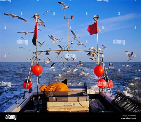 Long Line Fishing Boat North Sea Stock Photo 11290613 Alamy