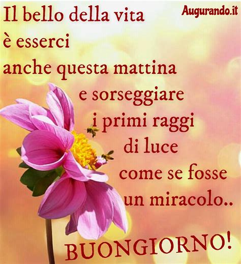 Jun 28, 2021 · buona visione e buona estate, vi riaspettiamo a settembre! Immagini buongiorno le più belle e originali le trovi qui!