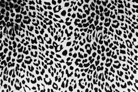 Snow Leopard Print Wallpapers Top Free Snow Leopard Print Backgrounds