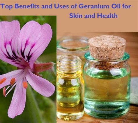 Top Benefits And Uses Of Geranium Oil For Skin And Health Stylish Walks