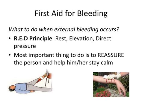 Ppt Health Unit 2 First Aid Powerpoint Presentation Free Download
