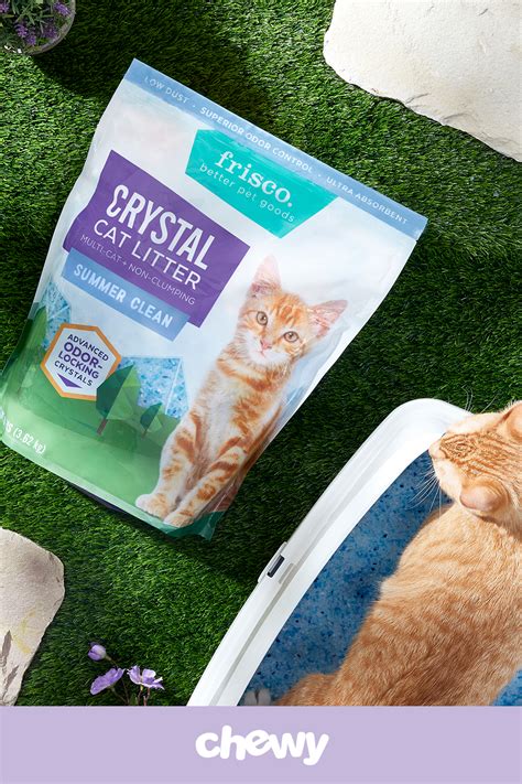 Litter defender is a litter box which cats love and dogs don't! Cat Eating Litter Crystals - Pets Ideas