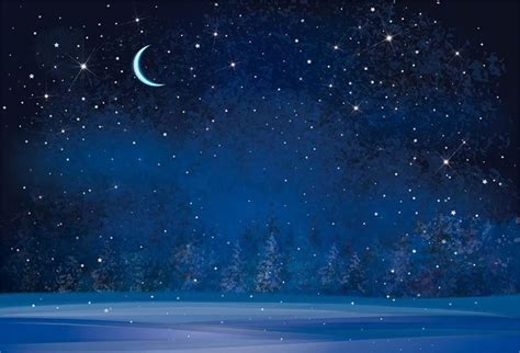Aofoto 7x5ft Dreamy Moon Night Fantasy Snowflake Backdrop