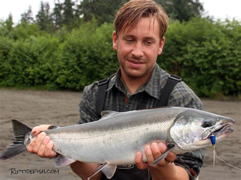 10 Amazing Lures For Coho Salmon In Rivers Riptidefish