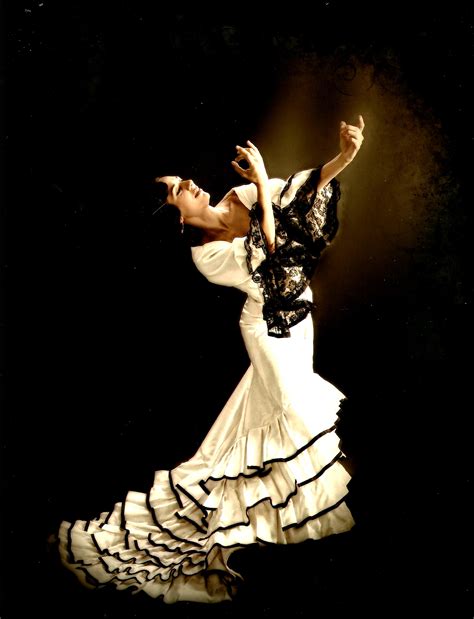 flamenco costume flamenco dancing ballroom dancing dance photos lets dance beautiful couple