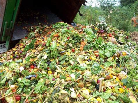 Last year, it was announced that a new rule in waste management would be implemented in malaysia, which. Impacts | Food Wastage in Singapore