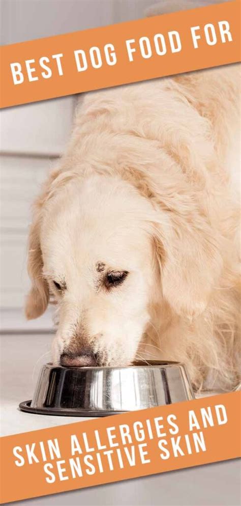 Best Dog Food For Skin Allergies In Puppies Dogs And Seniors